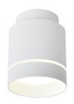 Oprawa sufitowa ledowa biała tuba 4000K 12W LED