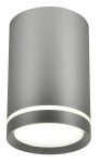 Oprawa sufitowa srebrna matowa tuba sufitowa 10 cm 1xGU10 15W 