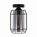 Nowoczesna lampa sufitowa czarna pojedyncza klosz dymiony 1xE27 40W JONERA