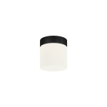 Lampa łazienkowa sufitowa IP44 CAYO