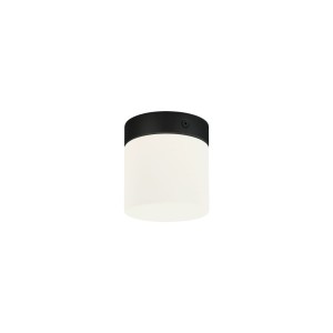 Lampa łazienkowa sufitowa IP44 CAYO