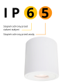 LAMPAMI - lampa sufitowa ledowa, lampa łazienkowa sufitowa, tuba sufitowa biała, oprawa sufitowa tuba biała