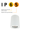 LAMPAMI - lampa sufitowa ledowa, lampa łazienkowa sufitowa, tuba sufitowa biała, oprawa sufitowa tuba biała