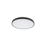 Plafon łazienkowy ledowy IP44 okrągły 4000K 22W AGNES ROUND LED PRO 