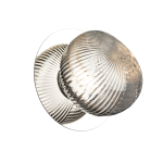 Lampa sufitowa ledowa dymiona/lampa na ścianę 3000K BOLLA GOLD 3W LED