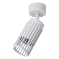 LAMPAMI - lampa sufitowa tuby regulowane, lampa nowoczesna do kuchni, lampa korytarz VERTICAL WHITE SPOT