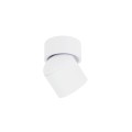 LAMPAMI - lampa do łazienki, lampa do prysznica, regulowana lampa elewacyjna, biała lampa zewnętrzna, lampa na elewację OSKAR NOWODVORSKI