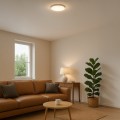 LAMPAMI - plafon łazienkowy led, lampa sufitowa ledowa, lampa sufitowa łazienkowa, lampa łazienkowa, plafon łazienkowy IP44 MAYA