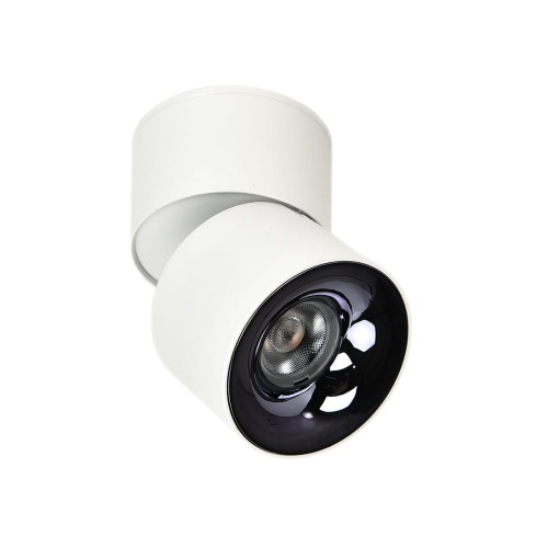 LAMPAMI - oprawa sufitowa natynkowa biała, lampa tuba sufitowa regulowana, lampa kuchenna, biała lampa do biura, ruchoma oprawa natynkowa Brema biała LED CCT
