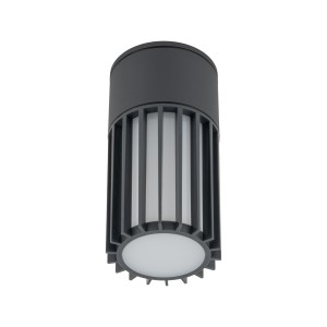 Lampa zewnętrzna sufitowa szara punktowa IP54 1xE27 RIBO GRAY