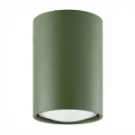 Lampa sufitowa pojedyncza punktowa tuba plafon zielona oliwka 1xGU10 LAGOS 10