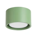 LAMPAMI - mały plafon sufitowy szałwiowy, oświetlenie do kuchni sufitowe, oświetlenie na przedpokoju, lampa przysufitowa, zielona lampa pojedyncza plafon MODO 1 szałwia