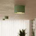 LAMPAMI - mały plafon sufitowy szałwiowy, oświetlenie do kuchni sufitowe, oświetlenie na przedpokoju, lampa przysufitowa, zielona lampa pojedyncza plafon MODO 1 szałwia