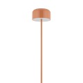 LAMPAMI - nowoczesna lampa stojąca do salonu, lampa podłogowa, wysoka lampa stojąca do salonu nowoczesna, lampa ledowa podłogowa, lampa stojąca metalowa NOA SALMON LED