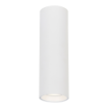 LAMPAMI - lampa na sufit tuba sufitowa biała, oświetlenie do kuchni, oświetlenie na przedpokój, oświetlenie do salonu, lampa sufitowa biała nowoczesna, oczko sufitowe,  lampa tuba sufitowa biała Genesis Spot