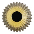LAMPAMI - kinkiet sufitowy, lampa na korytarz, lampa kinkiet czarny ledowy, lampa sufitowa plafon, kinkiet ścienny, lampa na korytarz, lampa do sypialni, lampa ledowa dekoracyjna Padre 6W LED
